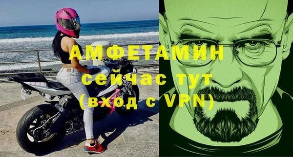 прущие грибы Дмитровск