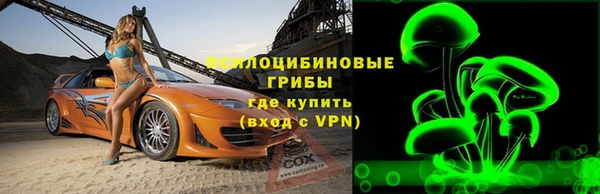 прущие грибы Дмитровск