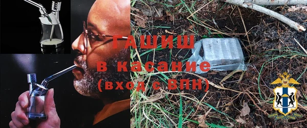 прущие грибы Дмитровск