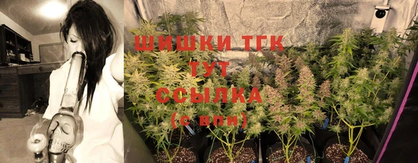 сатива Дмитров