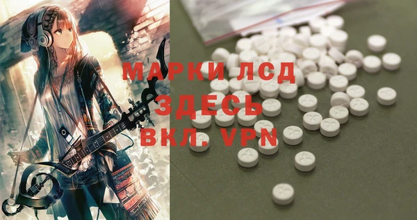 прущие грибы Дмитровск