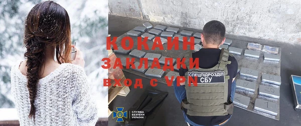 прущие грибы Дмитровск