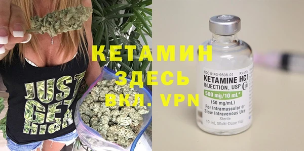 прущие грибы Дмитровск