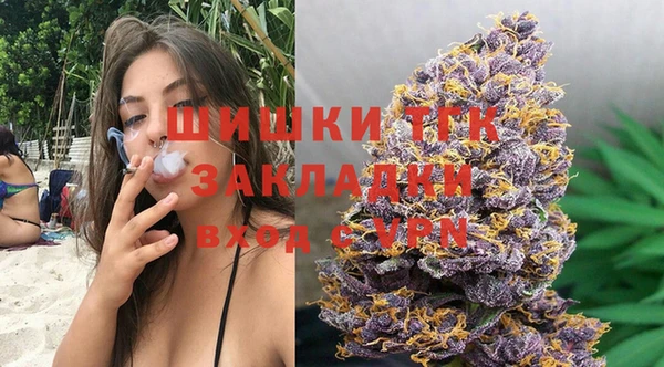 прущие грибы Дмитровск