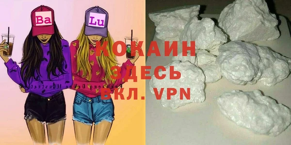 сатива Дмитров