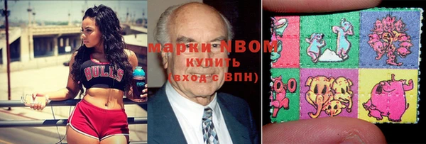 прущие грибы Дмитровск