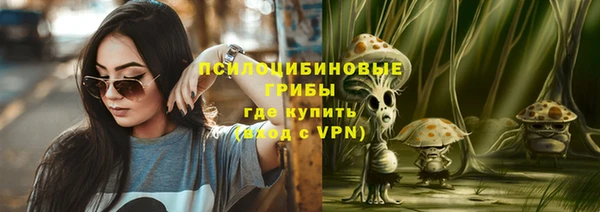 прущие грибы Дмитровск