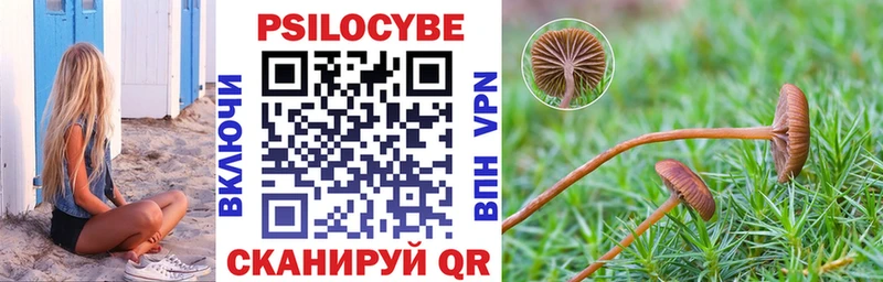 Галлюциногенные грибы GOLDEN TEACHER  Купить  Красноармейск 